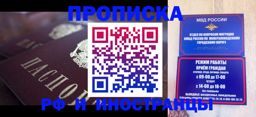 где прописаться в Коле